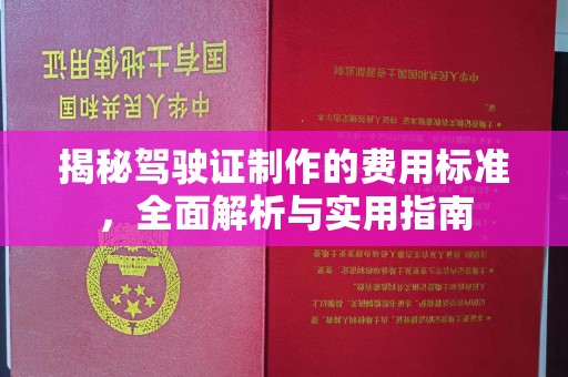 潞城揭秘驾驶证制作的费用标准，全面解析与实用指南